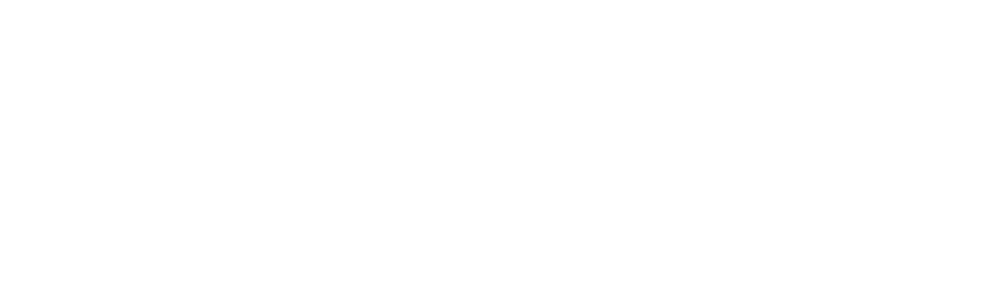 Online Success Agency